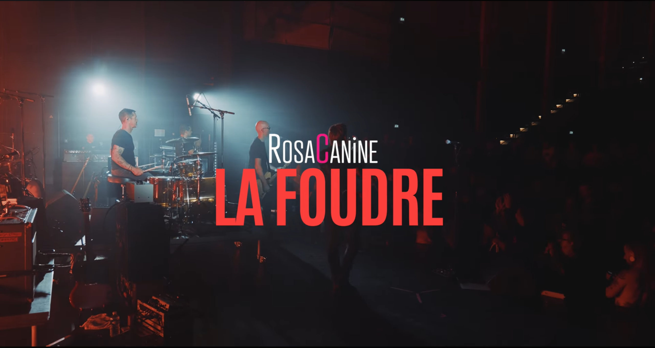 Rosacanine — Cliquez pour lire la vidéo